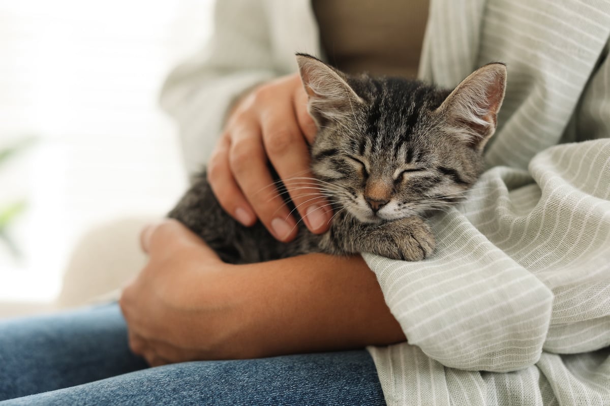 Femme avec un chaton adopté