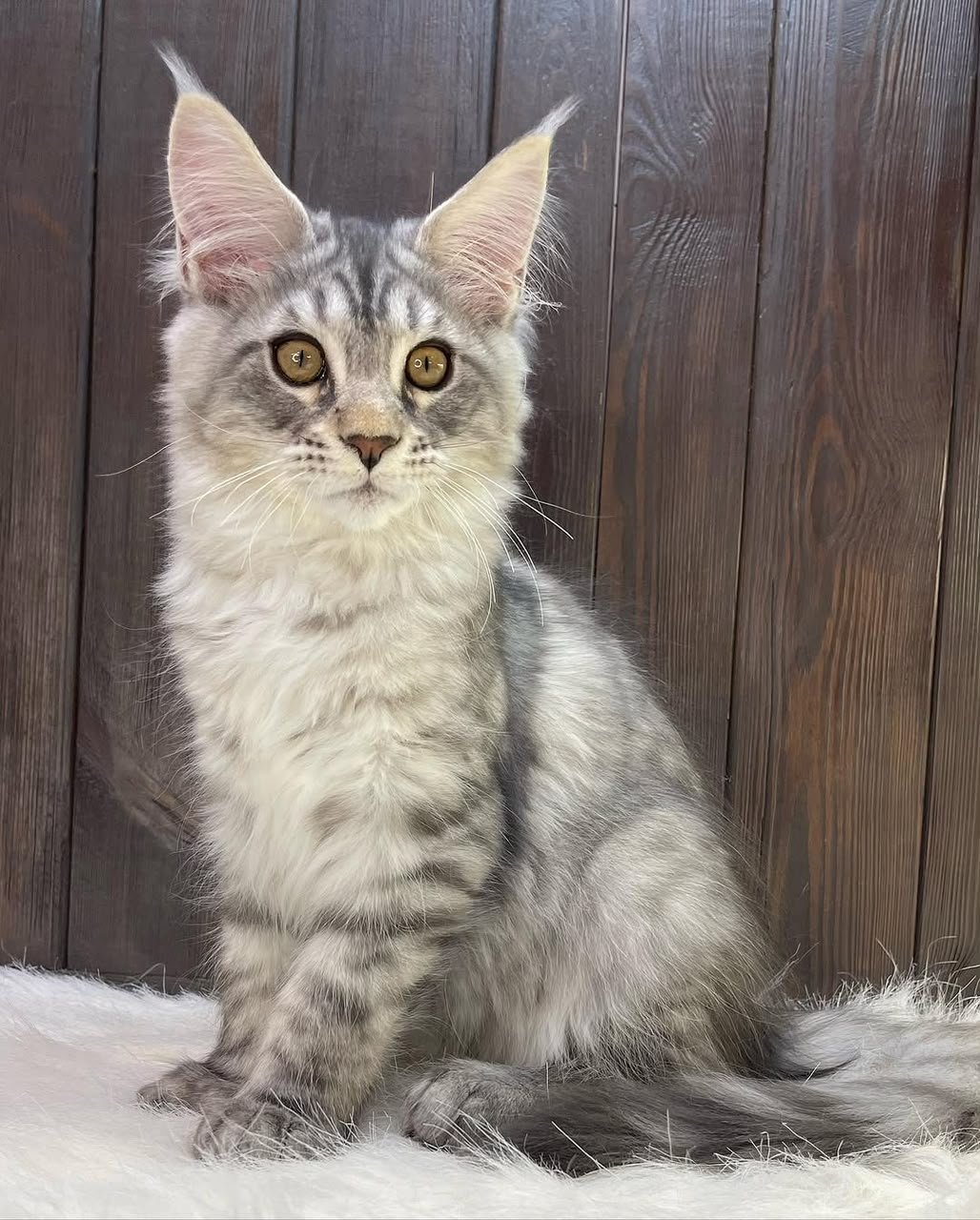 Milo & Luna